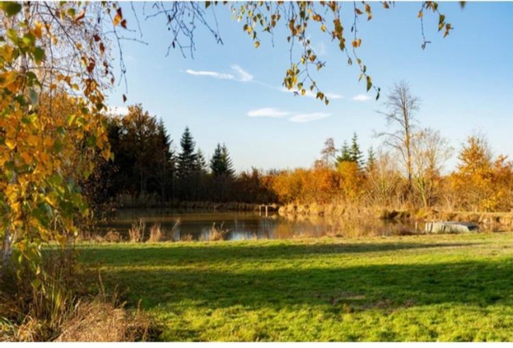 Les Chatelliers Bouzy-la-Foret Bagian luar foto