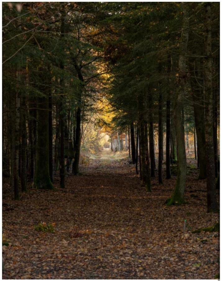 Les Chatelliers Bouzy-la-Foret Bagian luar foto