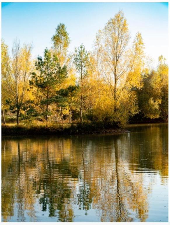 Les Chatelliers Bouzy-la-Foret Bagian luar foto